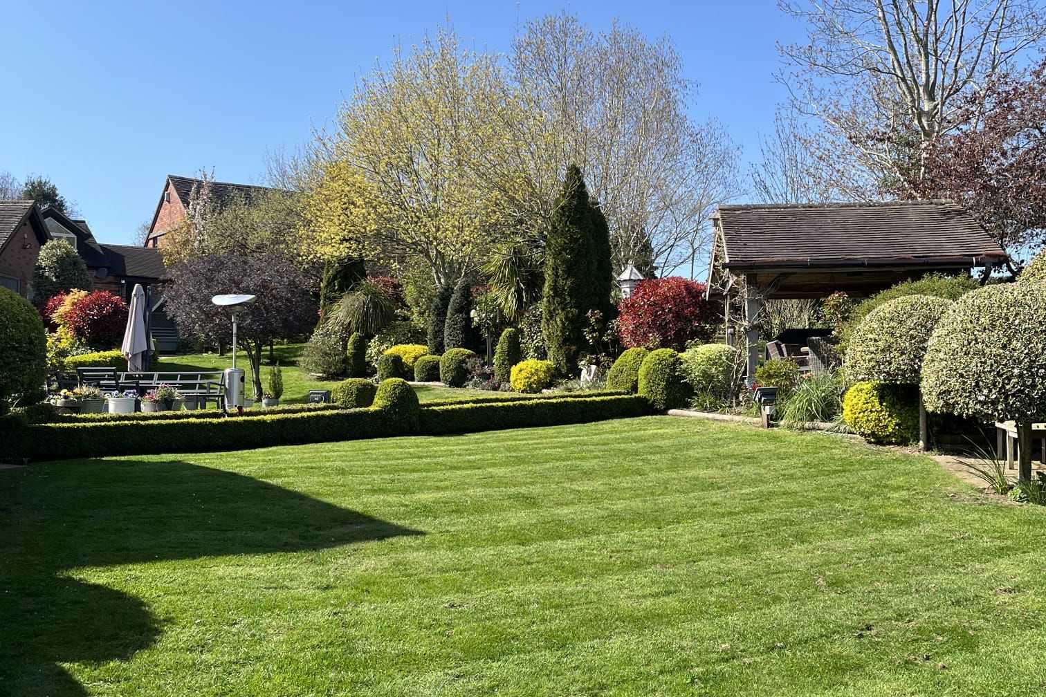 A striped lawn in a sunny garden with trees and shrubs behind.