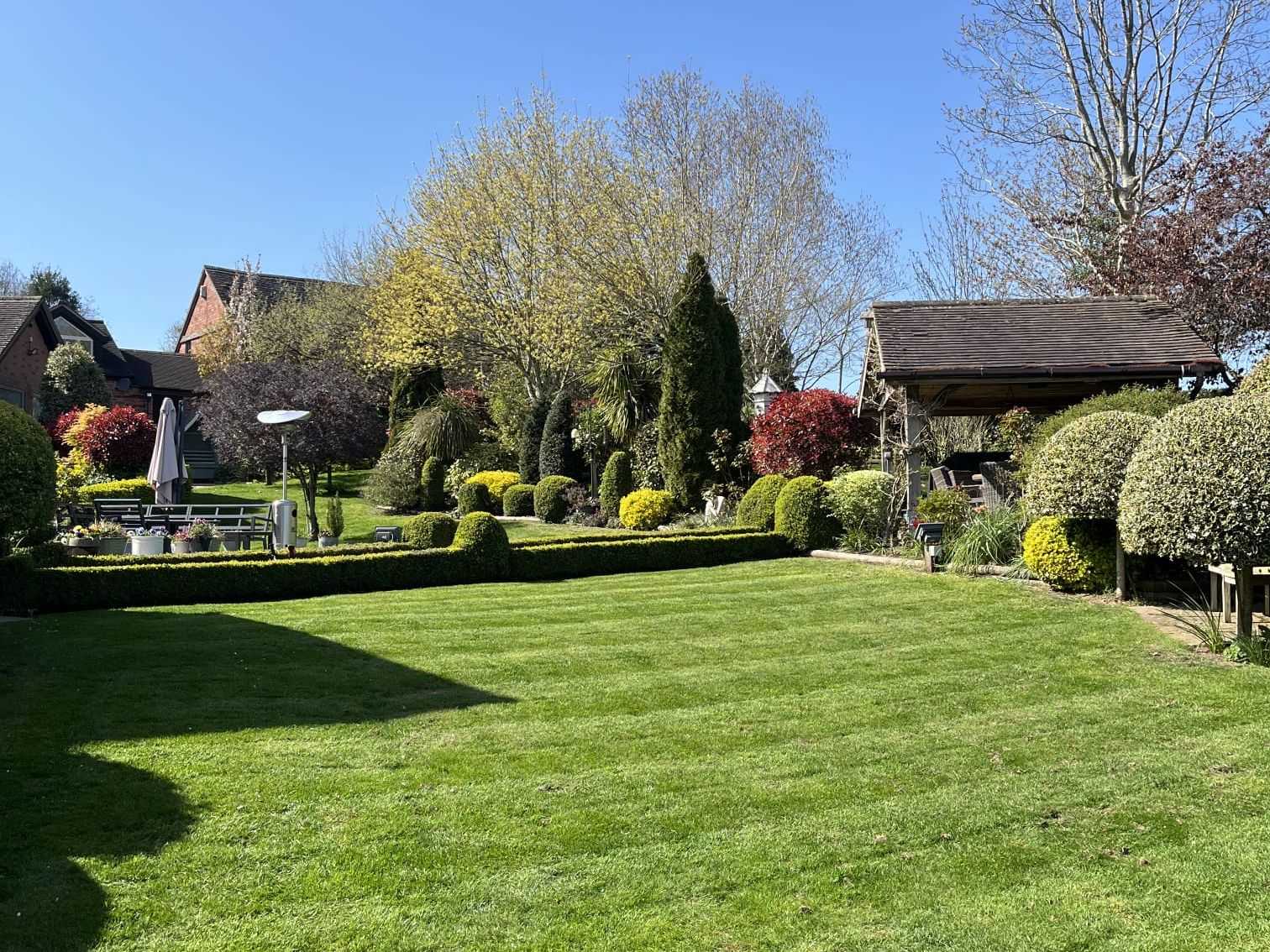 A striped lawn in a sunny garden with trees and shrubs behind.