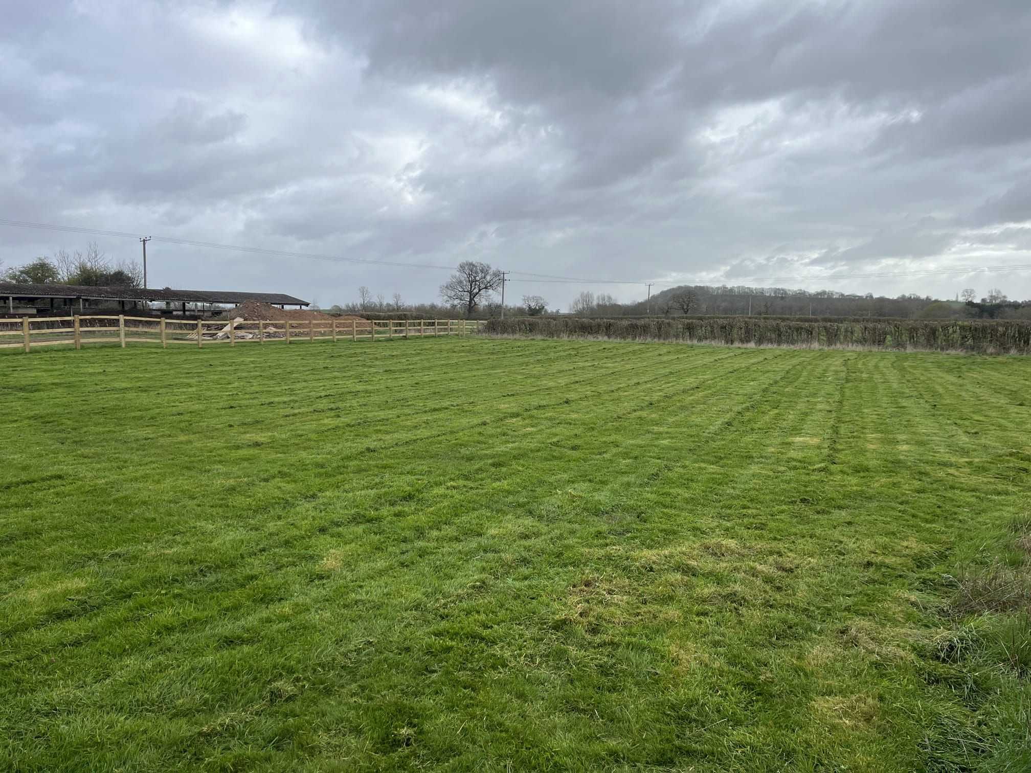 A wide field of freshly mown grass with straight stripes.