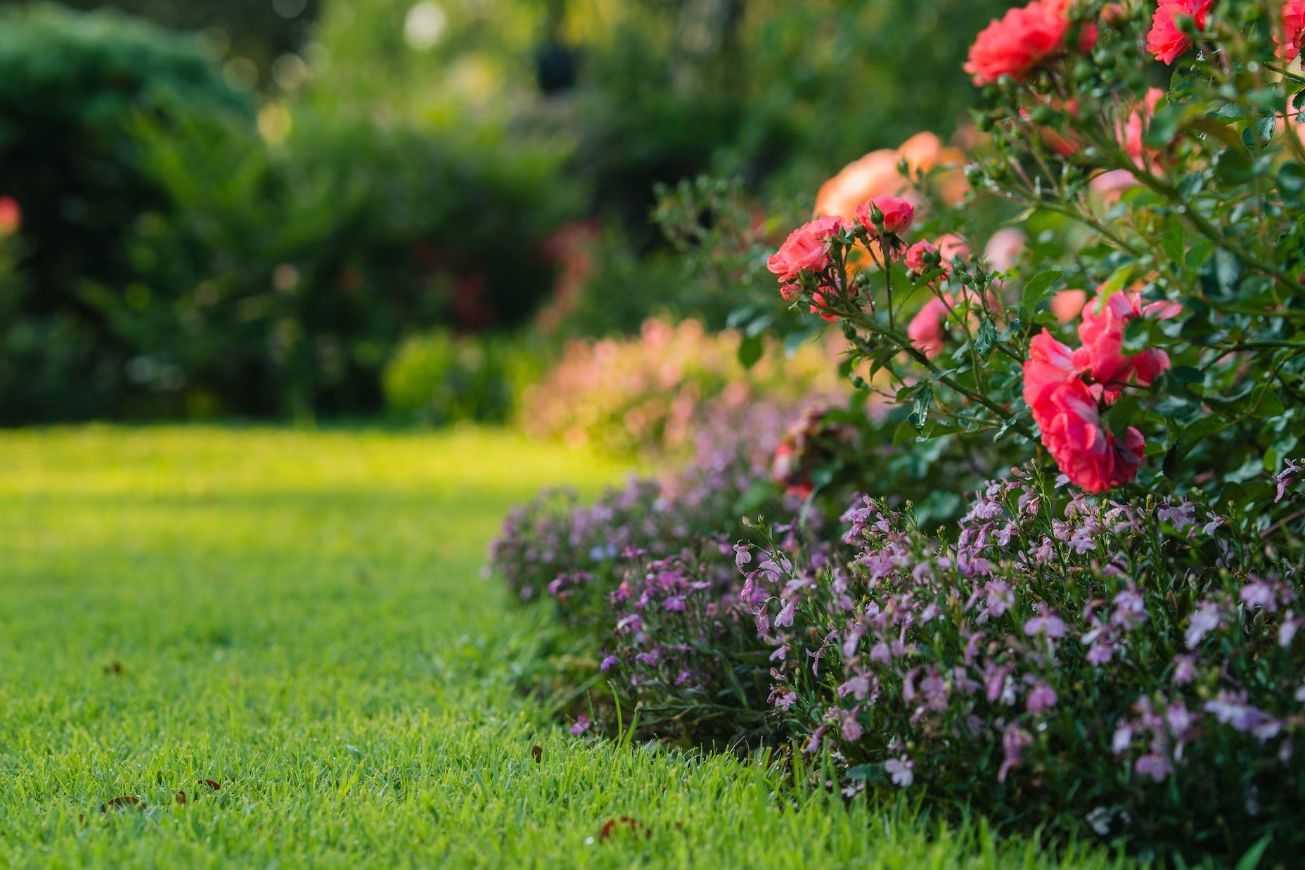 Spring flower border