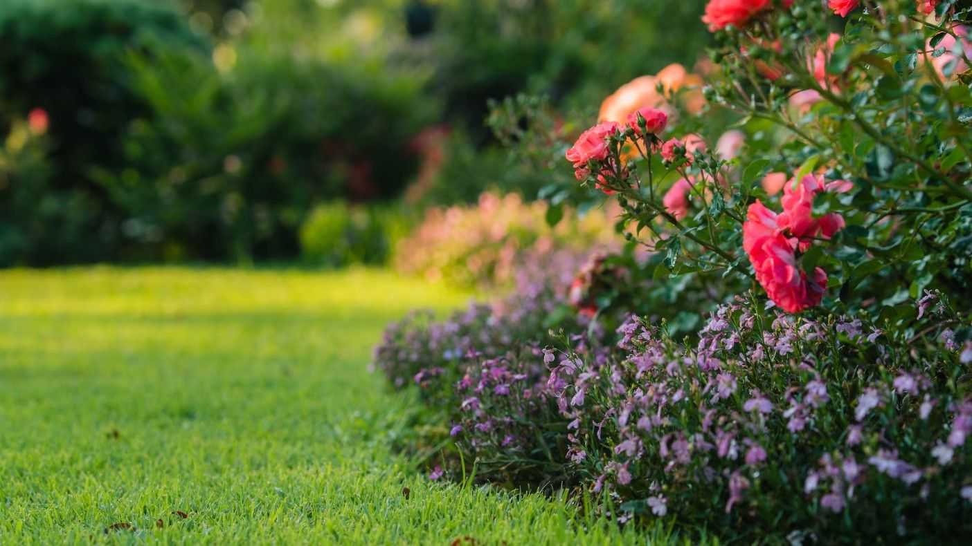 Spring flower border