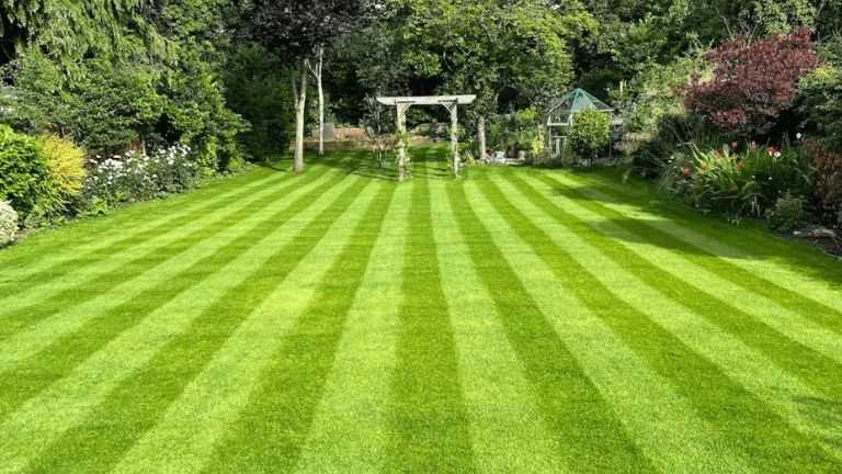 Lovely striped lawn