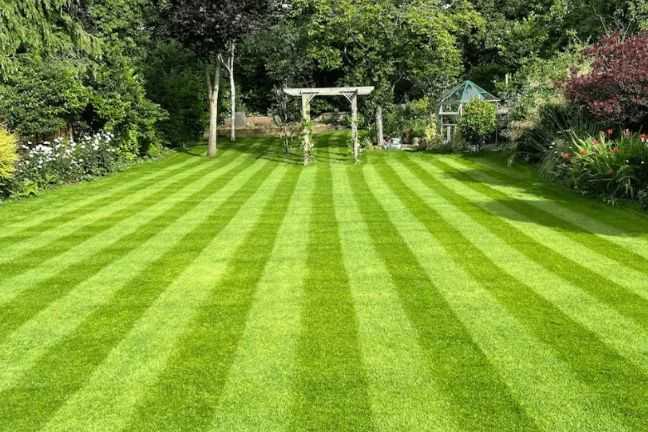 Lovely striped lawn