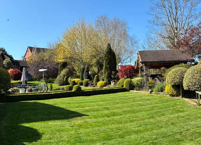 Beautiful garden and shrubs on a sunny day